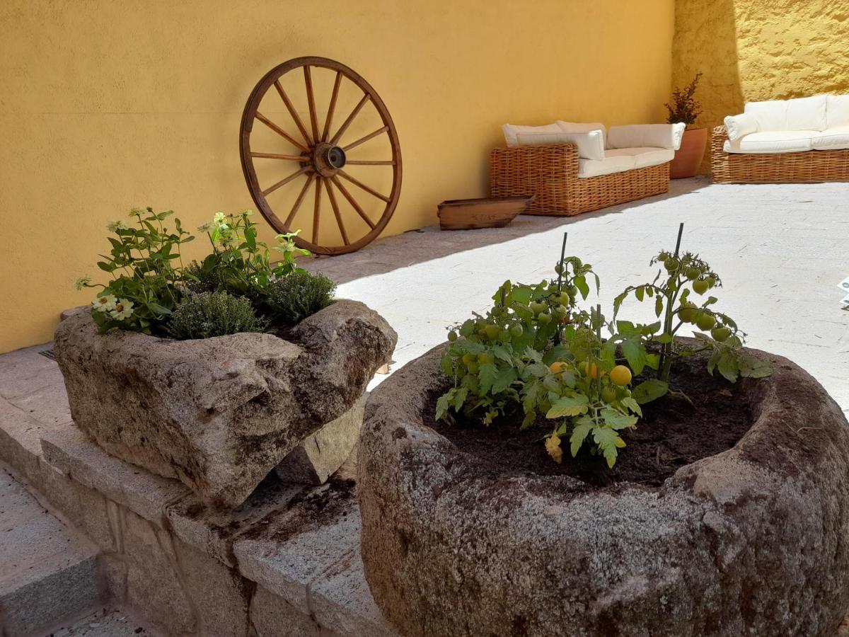 Casa Rural Del Tio Maino Becerril de la Sierra Eksteriør billede