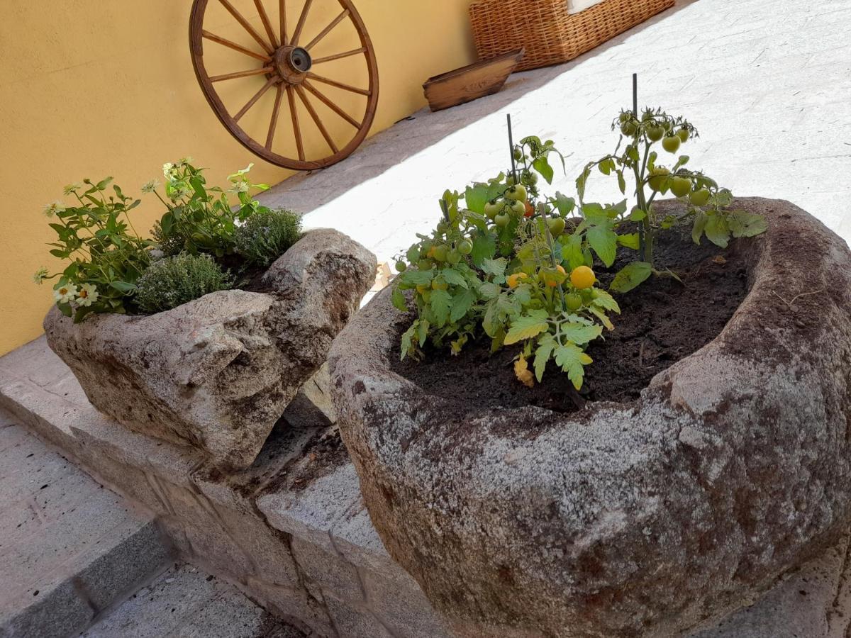 Casa Rural Del Tio Maino Becerril de la Sierra Eksteriør billede
